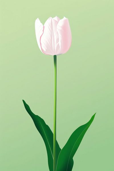 Wit Roze Tulp by ByNoukk