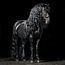 Friesian horse