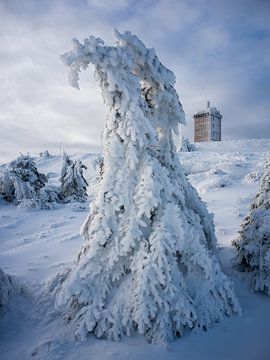 IJzig landschap op het Brockenplateau van t.ART