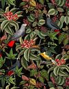Papegaai in tropisch paradijs van Floral Abstractions thumbnail