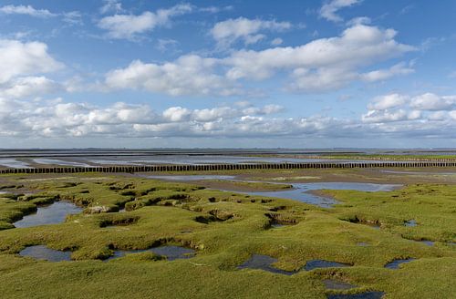 Kwelder met lahnung in het Nationaal Park Waddenzee
