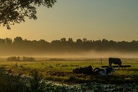 Dutch landscape by Rob Saly