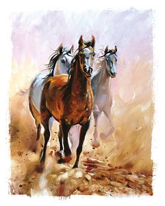 Poster de chambre d'enfant - Chevaux - Chambre de fille sur AMB-IANCE .com