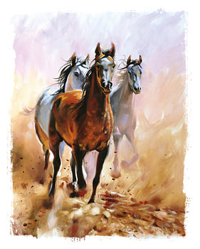 Nursery poster - Horses - Girl's room