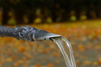 Herbstlicher Brunnenauslauf