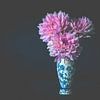 roze dahlia bloemen in oude Delfts blauwe vaas voor donkere achtergrond van Margriet Hulsker