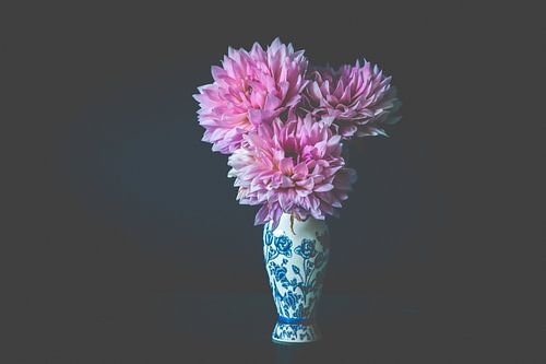 roze dahlia bloemen in oude Delfts blauwe vaas voor donkere achtergrond