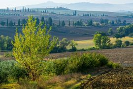 Hügel um Pienza von Filip Staes