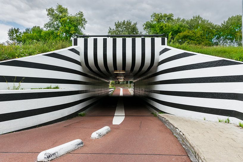 Empreinte de zèbre d'un tunnel pour bicyclette par Patrick Verhoef