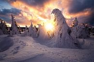Dramatische zonsopgang op de Brocken in de winter van Oliver Henze thumbnail