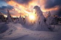 Dramatische zonsopgang op de Brocken in de winter