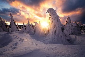 Dramatische zonsopgang op de Brocken in de winter