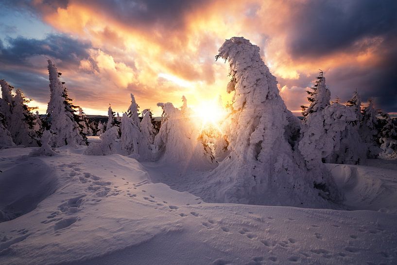 Dramatischer Sonnenaufgang auf dem Brocken im Winter von Oliver Henze