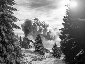 Die Brockenbahn auf dem Weg zum Brocken (schwarz/weiss)