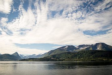Fjord in Noorwegen van Marie-Christine Alsemgeest-Zuiderent