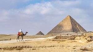 Piramides en kamelen in Egypte