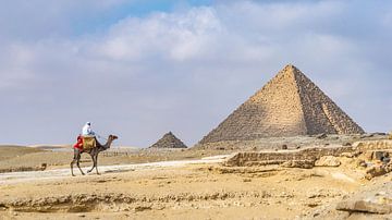 Piramides en kamelen in Egypte