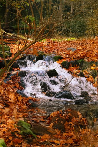 Waterfall in the forest by Dennis van der Geest