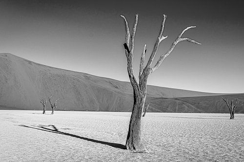 Deadvlei-05