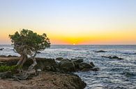 Mooie kleuren tijdens zonsondergang aan de noordkust van Aruba van Arthur Puls Photography thumbnail