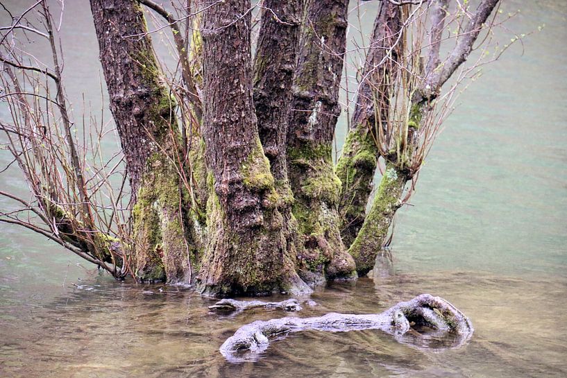Can you see the faces? von Ulrich Fuchs
