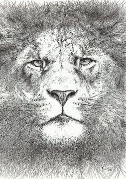 Lion by Carmen-Ghizela Todita