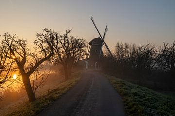 Windmühle in Beast bei Sonnenaufgang und Nebel von Michelle Peeters