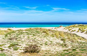 Beau paysage de dunes sur la plage de Majorque Cala Mesquida, Espagne, mer Méditerranée, îles Baléar