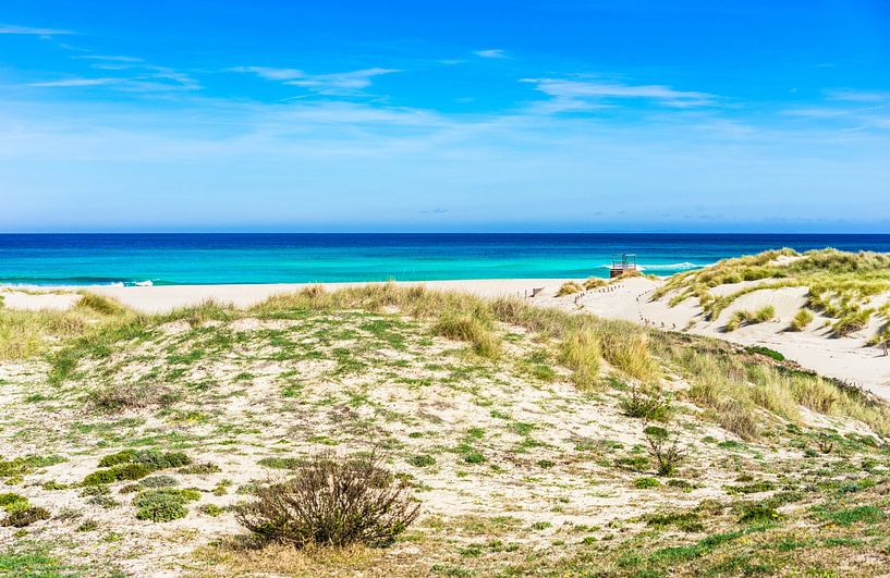 Prachtig duinlandschap op Mallorca strand Cala Mesquida, Spanje, Middellandse Zee, Balearen van Alex Winter