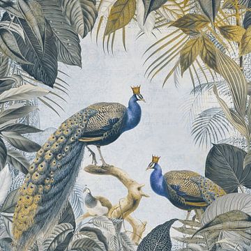 Peacock Kings van Andrea Haase