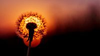 Here comes the sun
