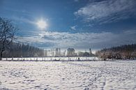 Schitteren sneeuwlandschap met besneeuwde bomen onder een stralend blauwe lucht van Kim Willems thumbnail