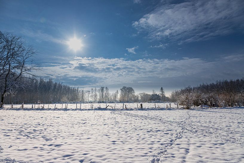 Schitteren sneeuwlandschap met besneeuwde bomen onder een stralend blauwe lucht van Kim Willems