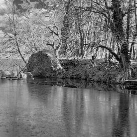 Eingefroren von Thomas Riess