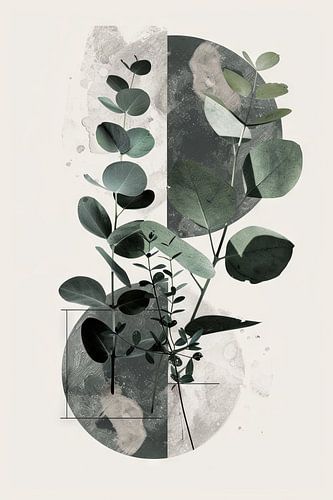 Eucalyptus & Geometrie: Organische symmetrie