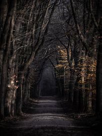 Jaune sur Linda Raaphorst