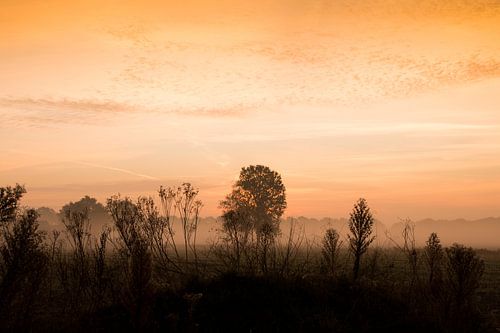 Ochtendmist met zonsopkomst