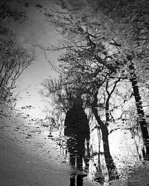 Kaleidoskopischer Traum von Eveline Gerritsen