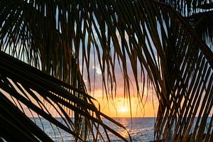 Ein idyllischer Sonnenuntergang in Curacao von Art Shop West