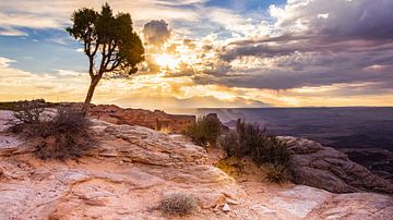 Majestueus uitzicht Canyonlands van Samantha Schoenmakers