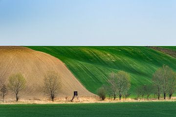 Moravian slopes by Guy Lambrechts
