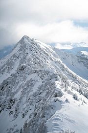 Winter wonderland in the Allgäu by Leo Schindzielorz