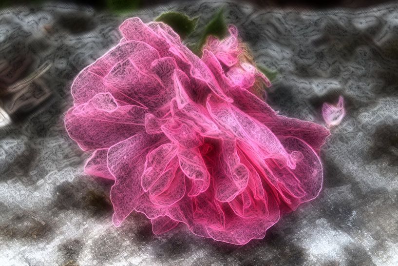 Glasrose par Edgar Schermaul