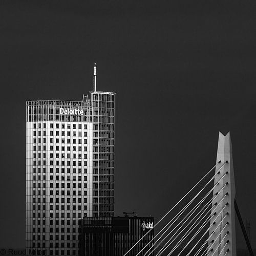 Rotterdam close up 2