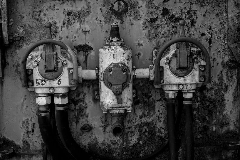 black and white by Bart Liesenborgs