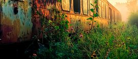 Train rouillé dans les hautes herbes sur Poster Art Shop