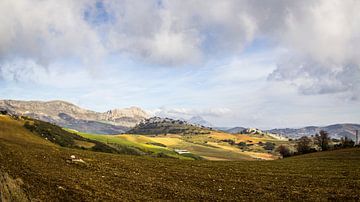 Des collines qui roulent sur Alex Bosveld