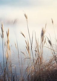 Morgenstimmung am See