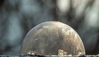 Bevroren zeepbel van Tomas S. thumbnail