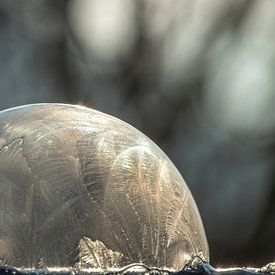 Bulle congelée sur Tomas S.